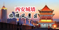 肉丝美女被操中国陕西-西安城墙旅游风景区